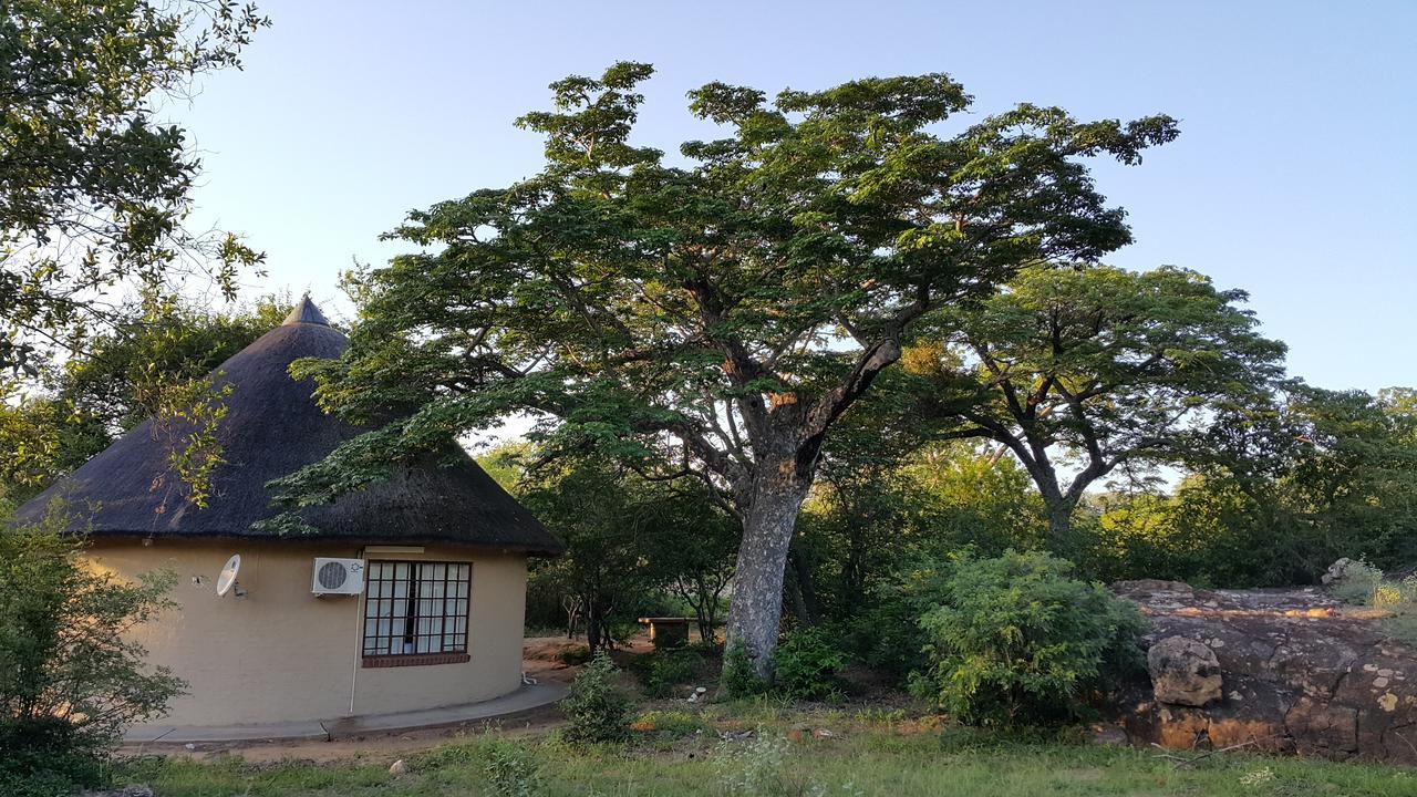 Awelani Lodge Masisi Zewnętrze zdjęcie
