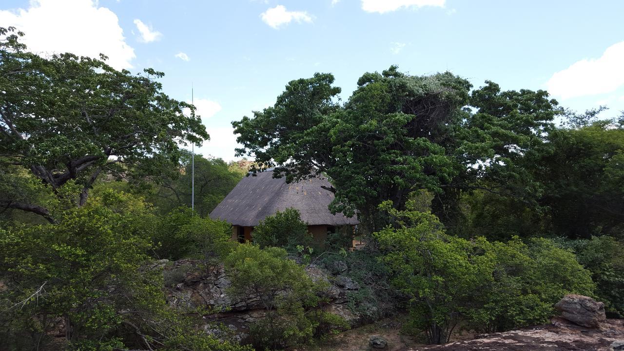 Awelani Lodge Masisi Zewnętrze zdjęcie