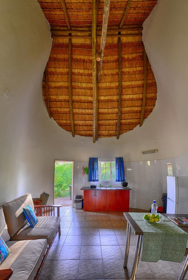 Awelani Lodge Masisi Zewnętrze zdjęcie