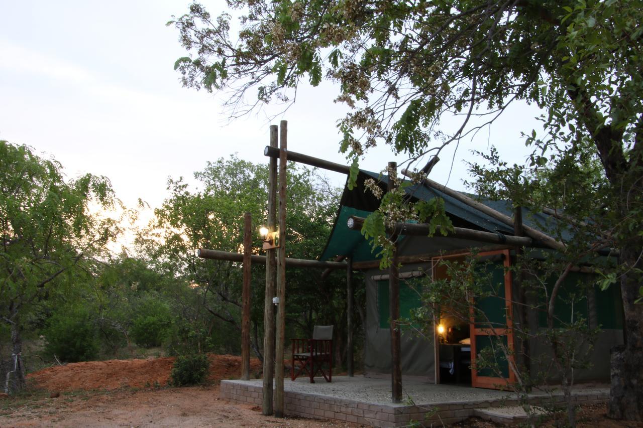 Awelani Lodge Masisi Zewnętrze zdjęcie
